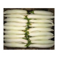绿康达是一家专业从事增城蔬菜配送、黄埔蔬菜配送生产